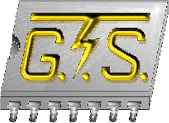 Logo GTS